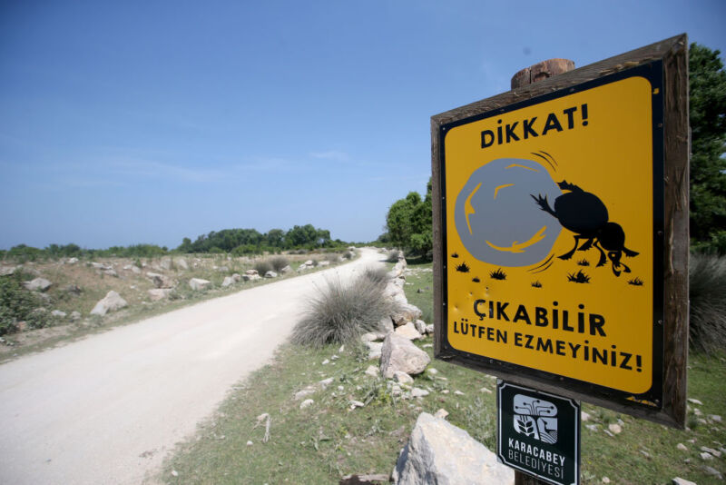 A road sign in Bursa, Turkey, warns drivers of the presence of dung beetles, stating "Attention! It may come out, don’t crush it please!"