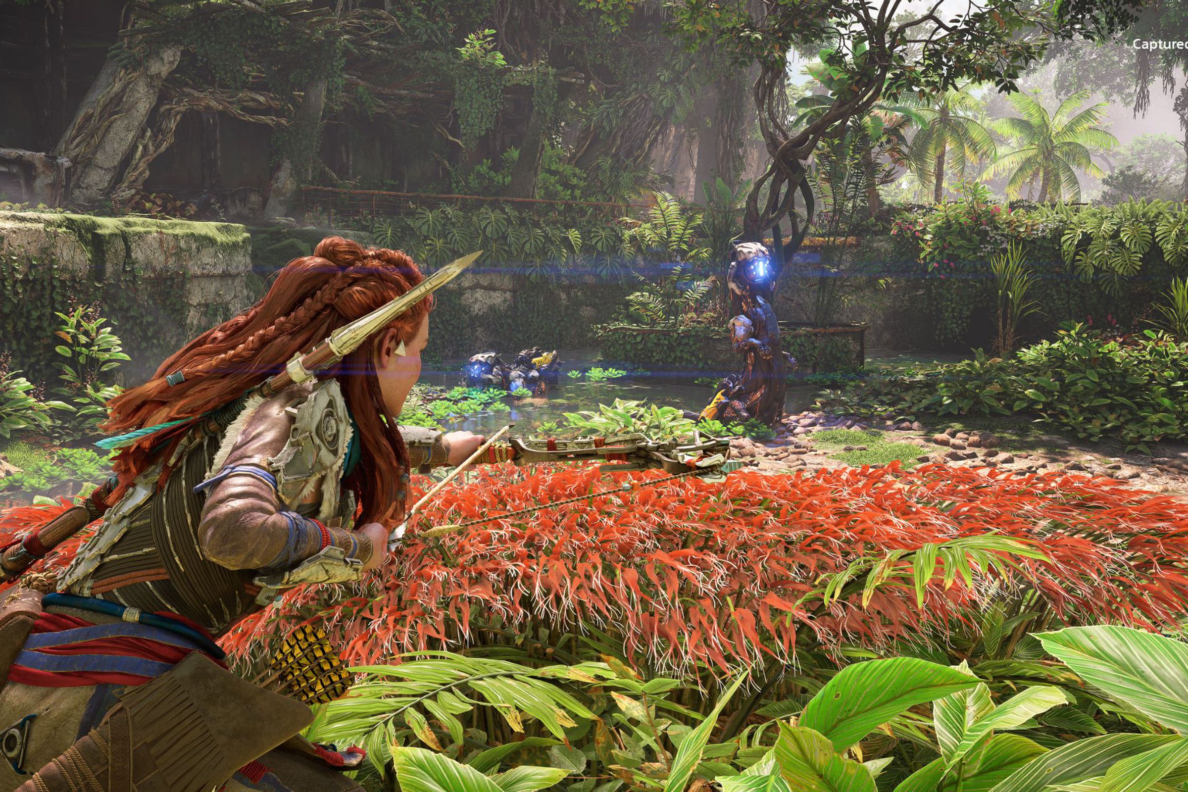 A woman warrior peers through a garden at a figure in the distance.