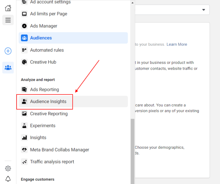 Facebook Ads manager - Audience Insights