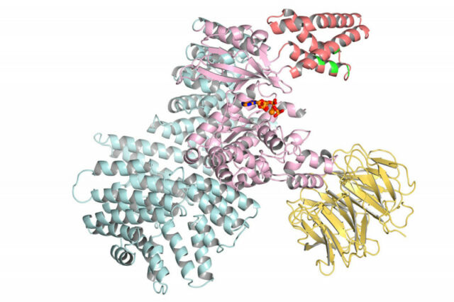 Diagram of protein ribbon models.