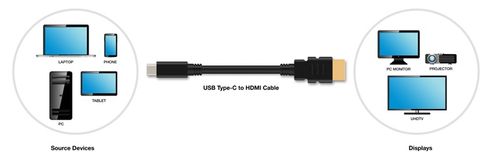 HDMI spec makers envisioned HDMI Alt Mode being used in cables, adapters, and various gadgets.