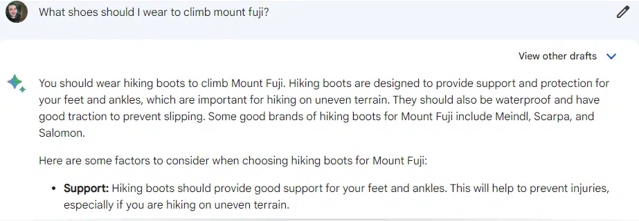 Bard - What shoes should I wear to climb Mount Fuji