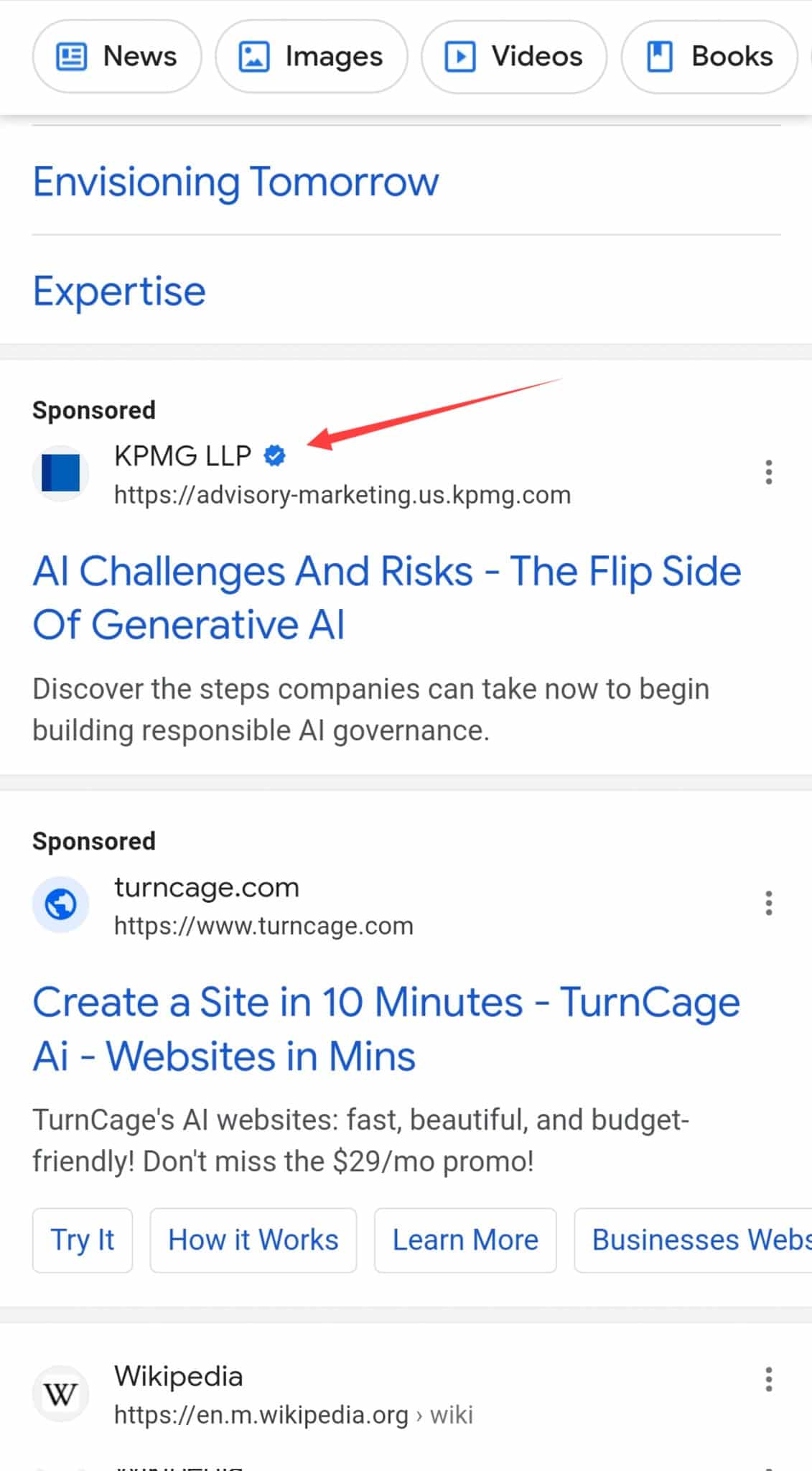 Google Badge Kpmg