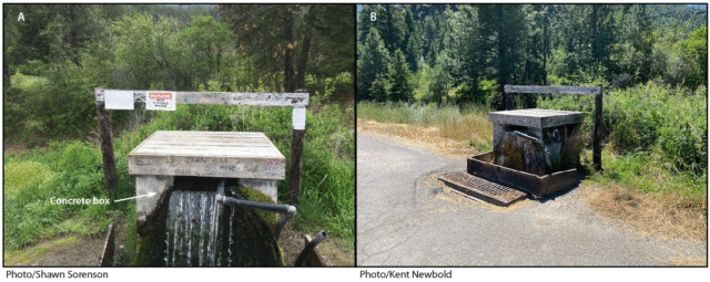 FIGURE. Watering point A, before any intervention (A) and after the water supply was permanently turned off (B) — Montana, 2022.