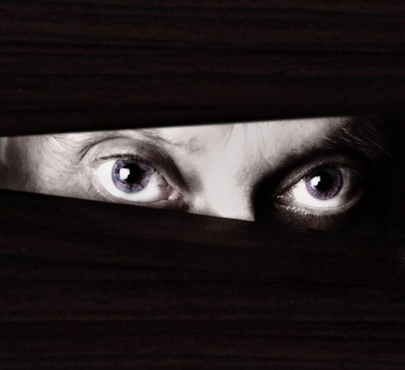 Black and white close up of sinister-looking male eyes looking suspiciously through the slats of a closed venetian blind. Could be a criminal or a stalker or a watchful home owner.