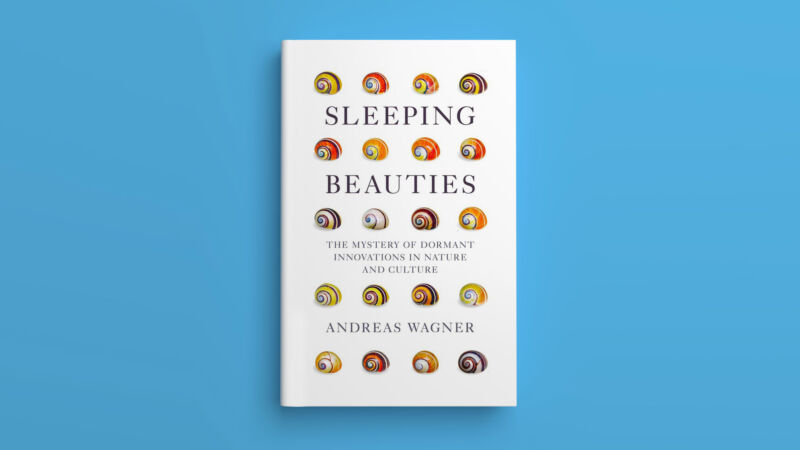 Mock-up of <em>Sleeping Beauties</em> book cover.”><figcaption class=