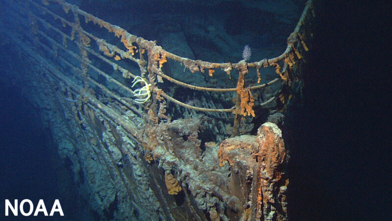 Image of an organism-encrusted railing in the ocean.