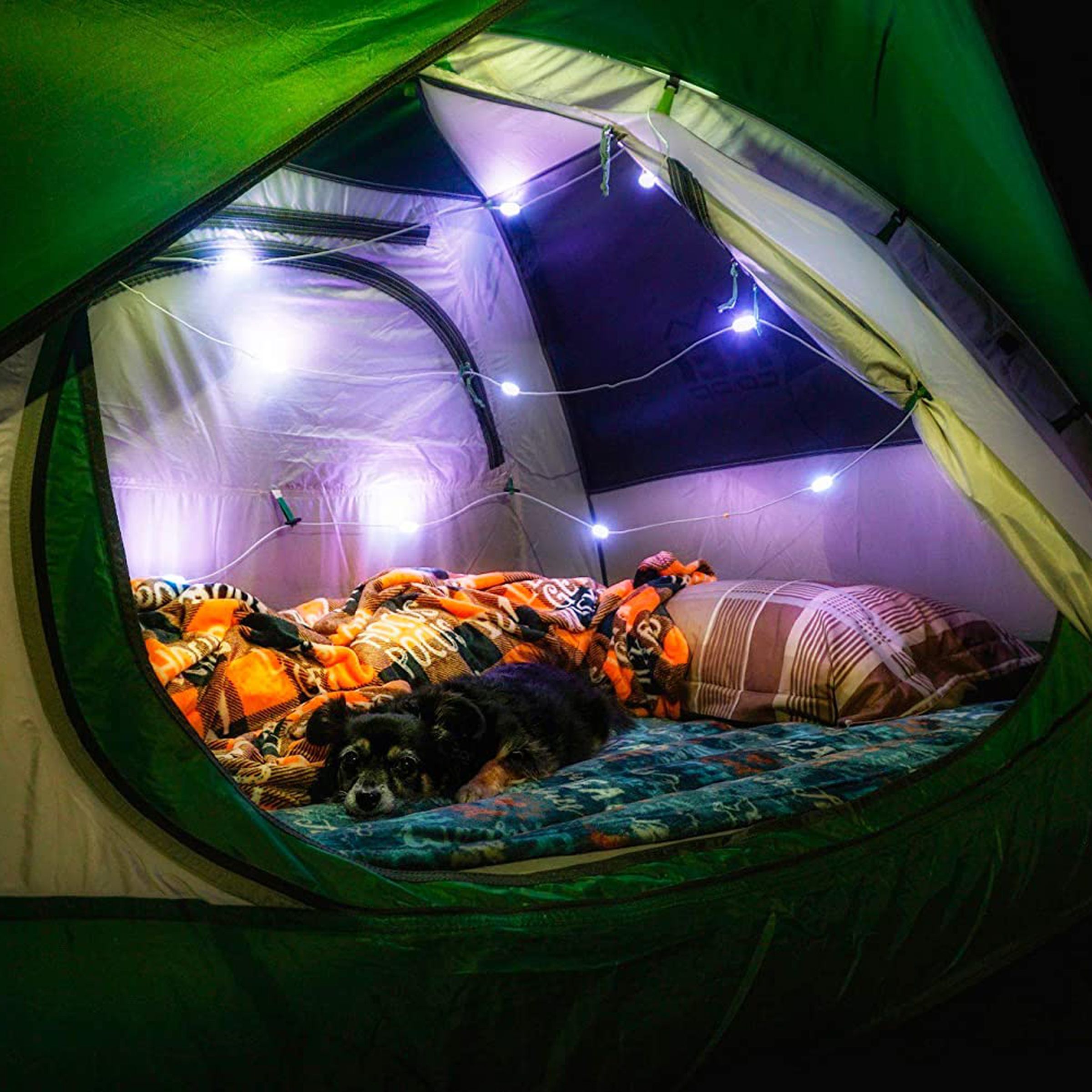 A string of multicolored lights inside of a tent.