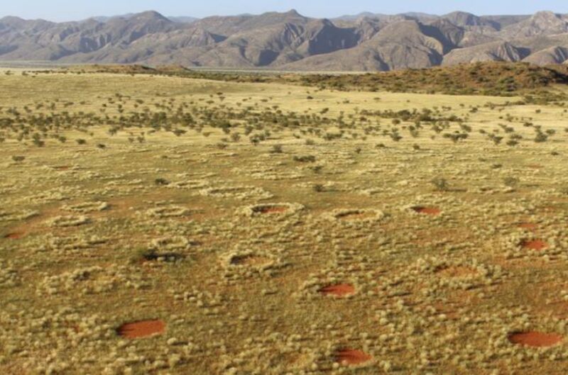 Fairy circles in the Namib Desert.