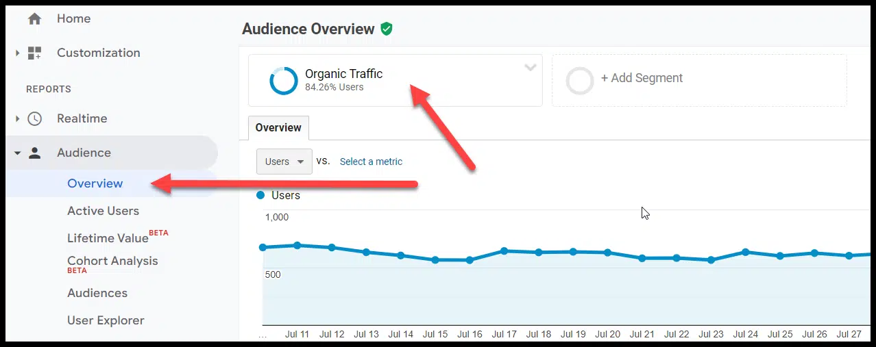 UA - organic traffic overview