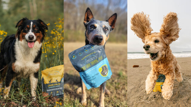 Brands like Jiminy's and Lovebug aim to make furry companions more sustainable.