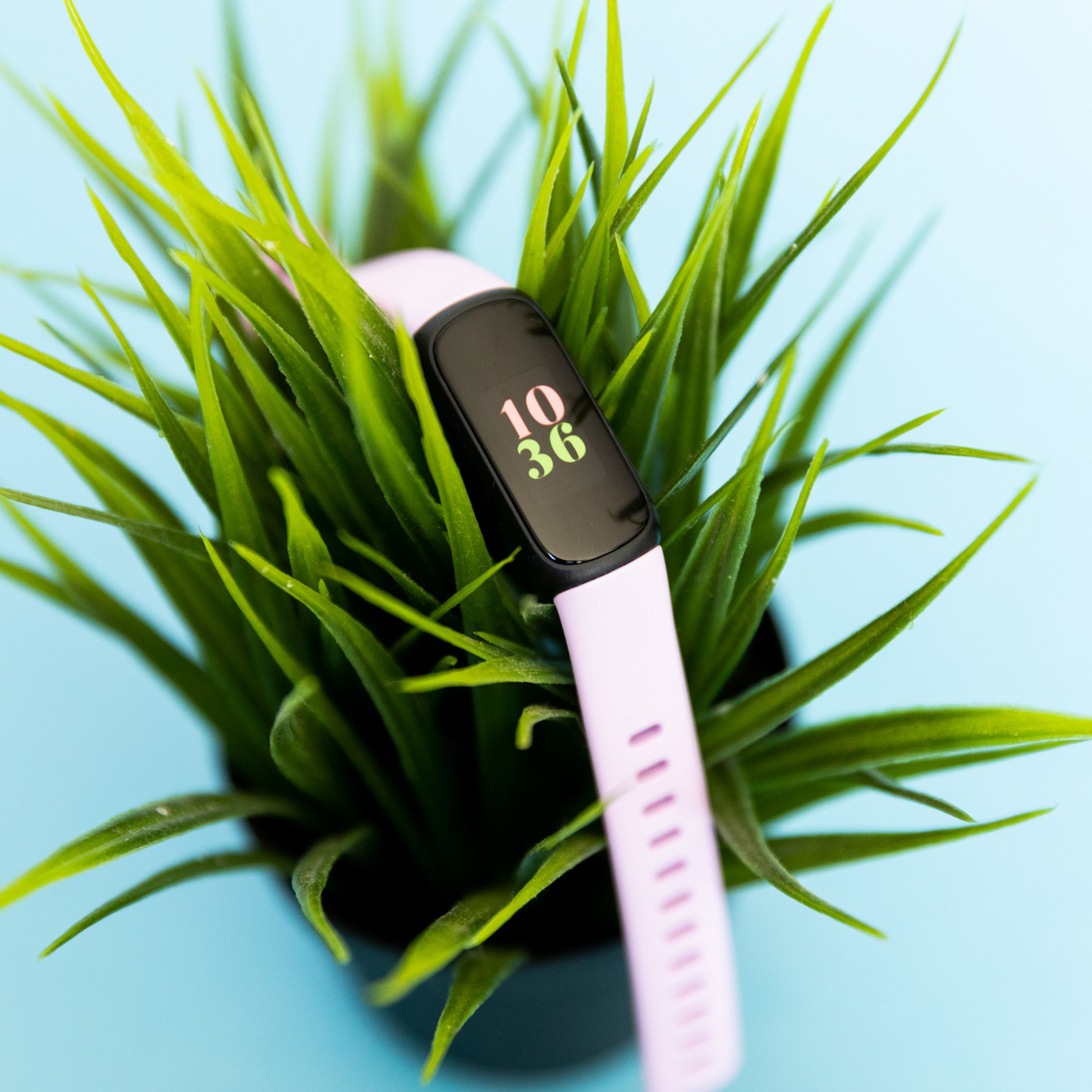 The Fitbit Inspire 3 on top of a plant