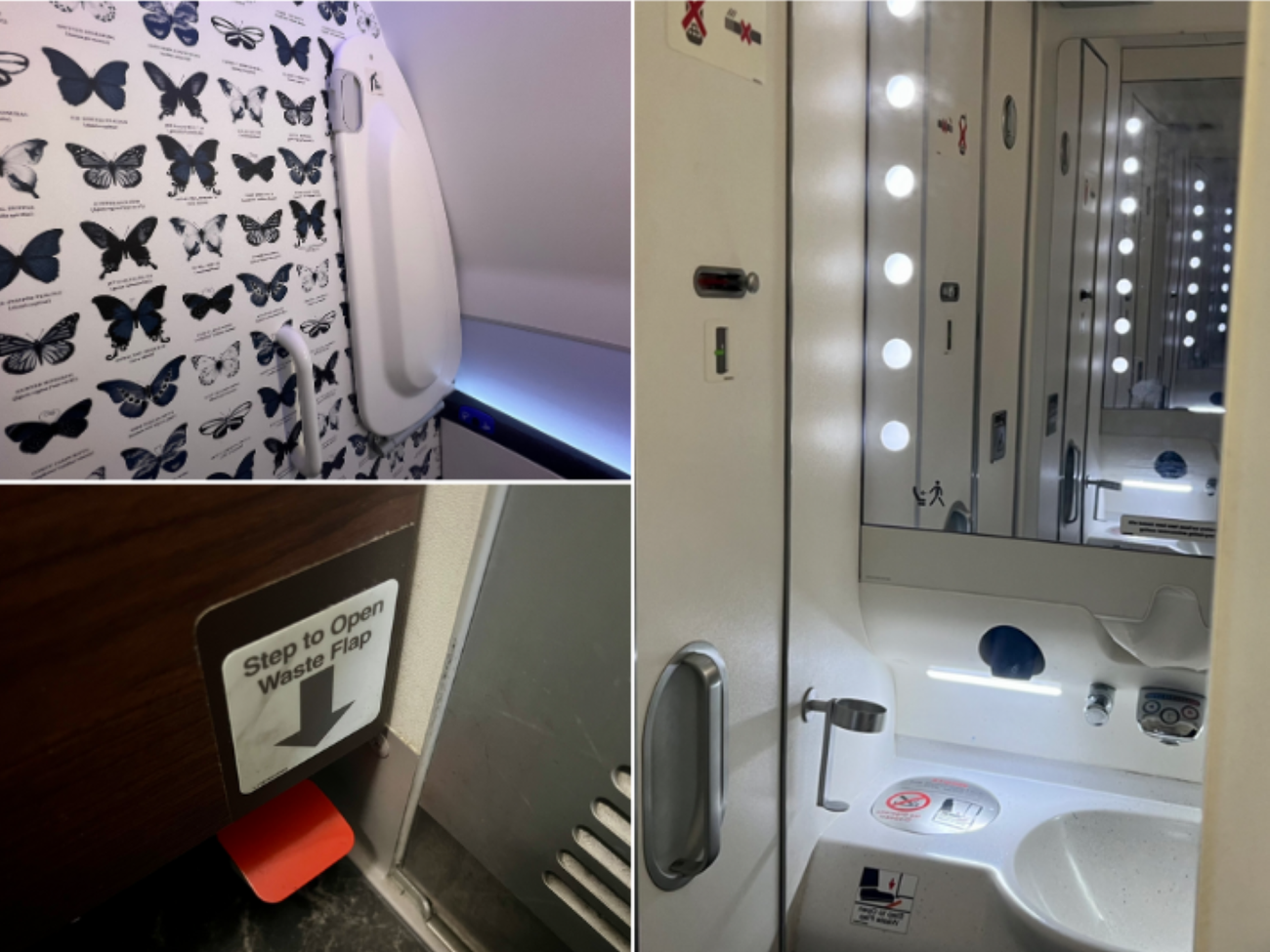 A collage of airplane toilet features.