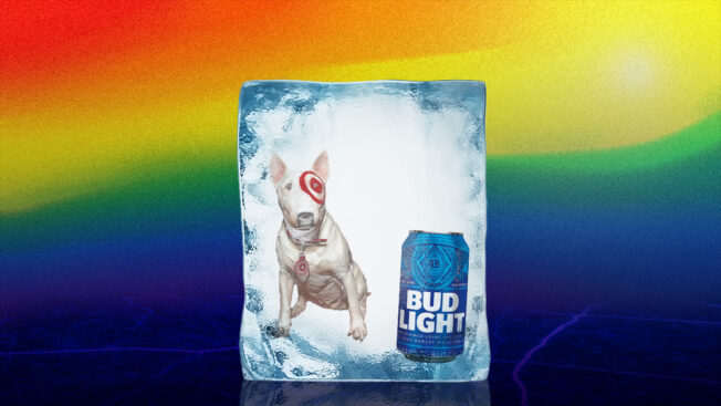 the target dog and a can of bud light in a big ice cube