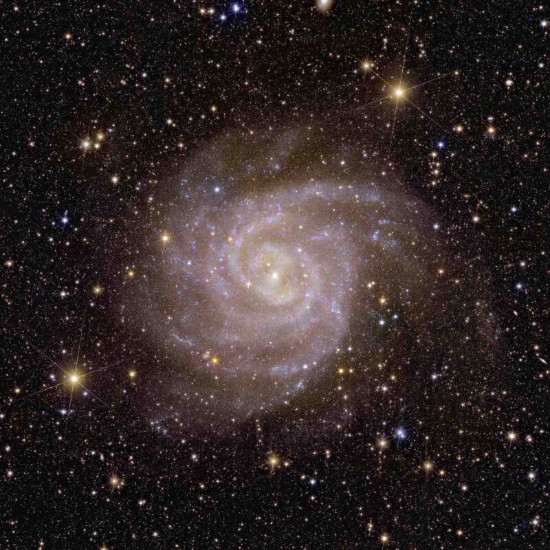 One of the first galaxies that Euclid observed is nicknamed the "Hidden Galaxy." This galaxy, also known as IC 342 or Caldwell 5, is difficult to observe because it lies behind the busy disk of our Milky Way.