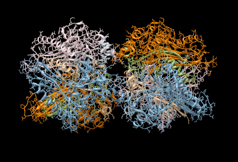 A ribbon-based string that represents the structure of the backbone of a protein.