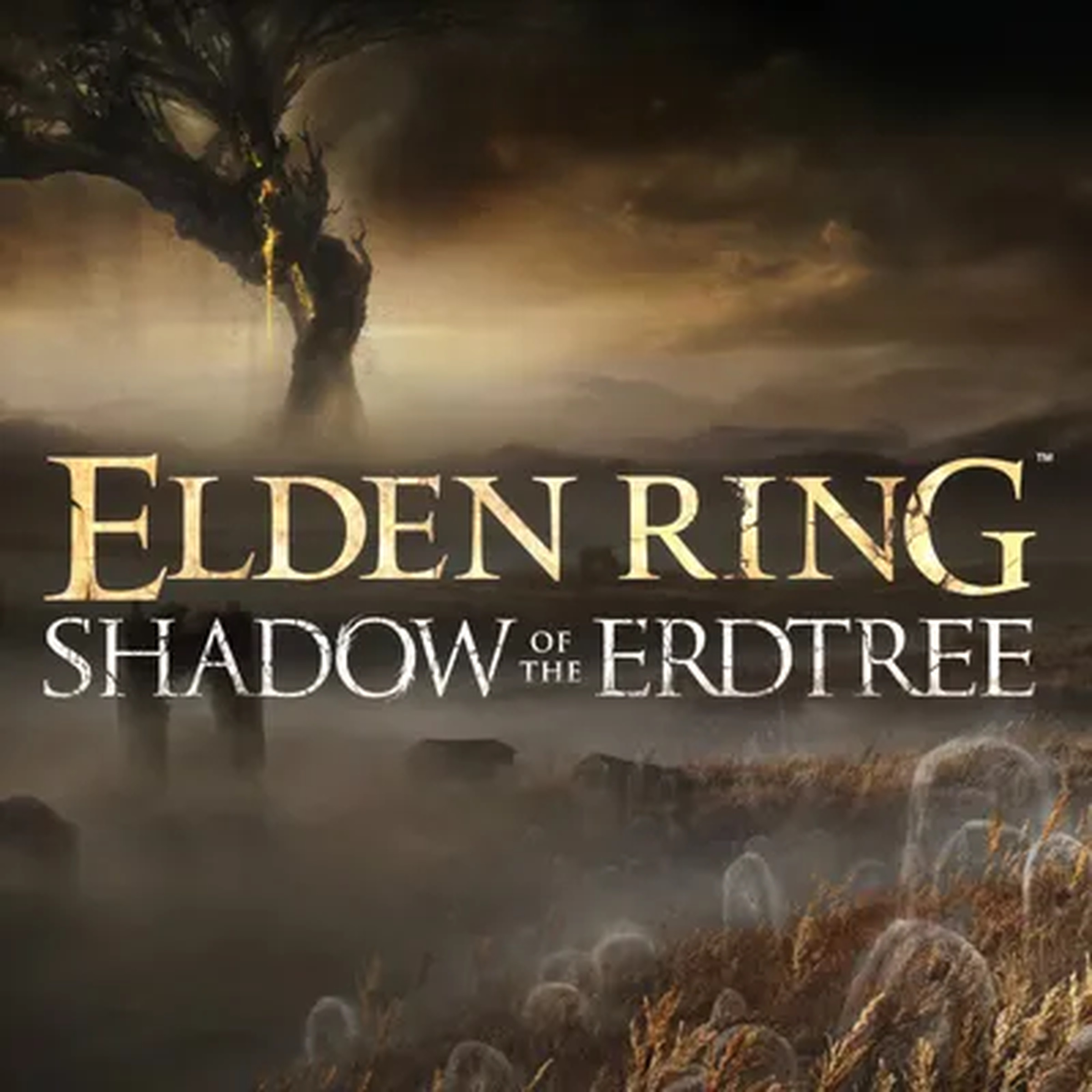 Shadow of the Erdtree artwork