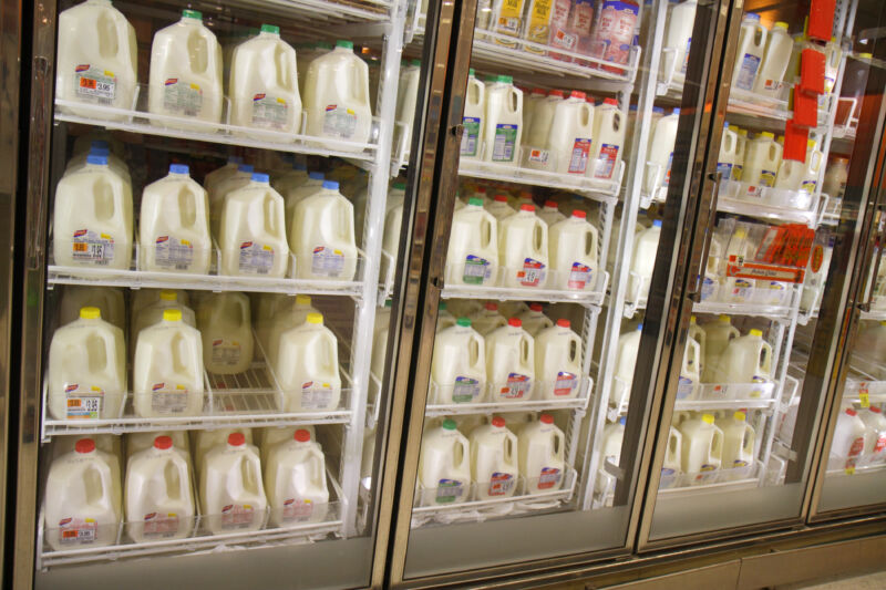 20% of grocery store milk has traces of bird flu, suggesting wider outbreak