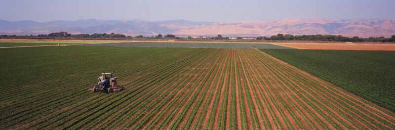 A tractor amidst many rows of small plants, with brown hills in the background.