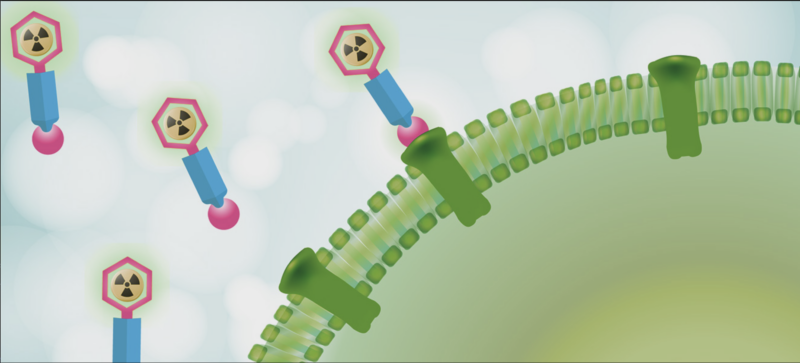 Pharma interest and investment in radiotherapy drugs is heating up.