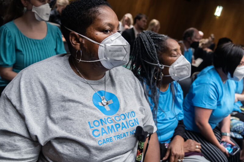 Long covid activists attend the Senate Appropriations Subcommittee on Labor, Health and Human Services, Education, and Related Agencies hearing on the "Fiscal Year 2025 Budget Request for the National Institutes of Health," in Dirksen building on May 23, 2024. 