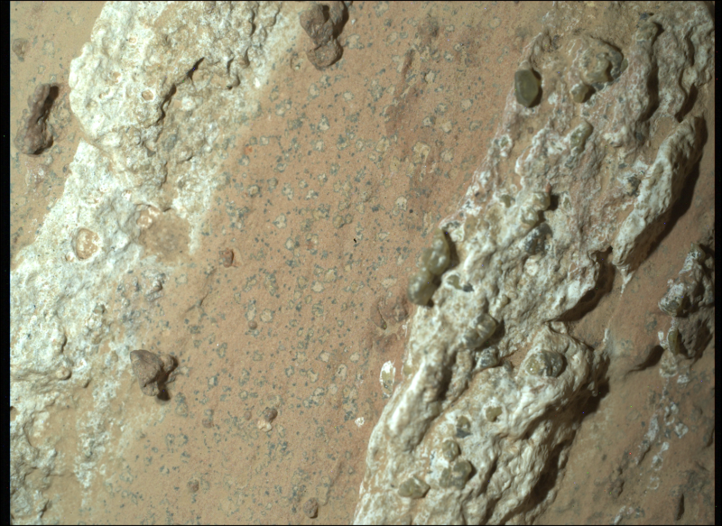 NASA’s Perseverance rover discovered “leopard spots” on a reddish rock nicknamed “Cheyava Falls” in Mars’ Jezero Crater in July 2024.