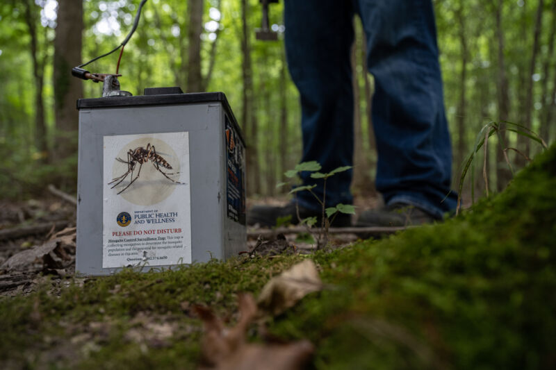 An entomologist for the Louisville Metro Department of Public Health and Wellness in a swampland area on August 25, 2021 in Louisville, Kentucky collecting various mosquito species, and testing the samples for mosquito-borne diseases, such as EEE.