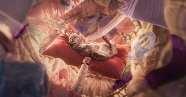 The music is part of Whiskas’ new global brand campaign, “Purr More,” which is about making cats happier and, by consequence, pleasing their owners too. 