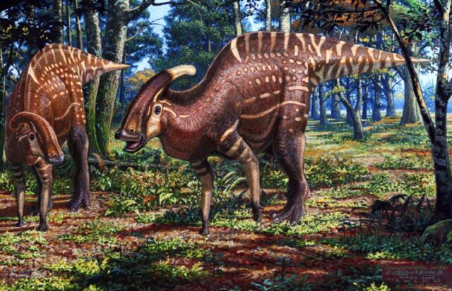 Reconstruction of the environment where Parasaurolophus walkeri lived during the Cretaceous.