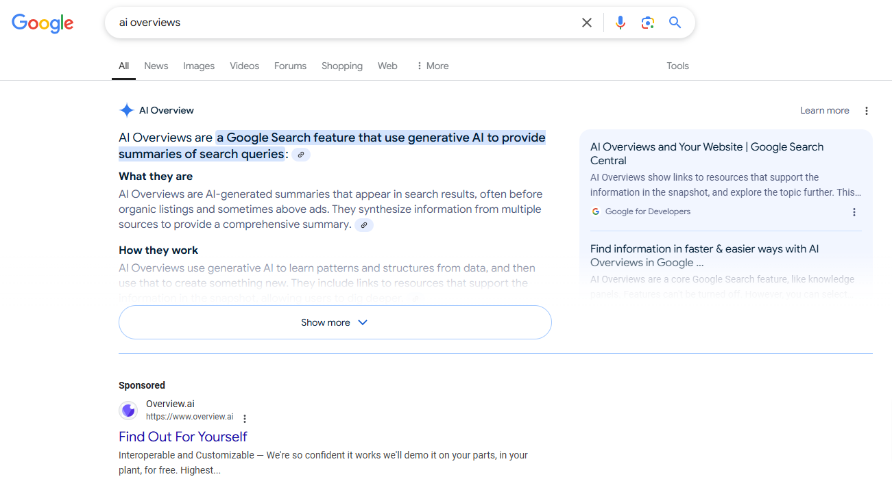 Screenshot from search for [ai overviews], Google, January 2025